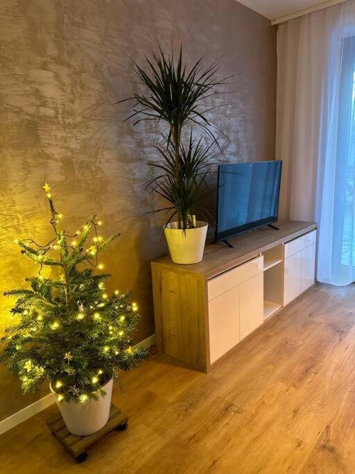 Apartman Betula-Apartman V Srdci Vysokych Tatier Vysoké Tatry Exterior foto